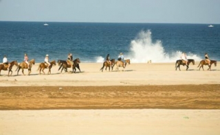  Bassa California a cavallo 